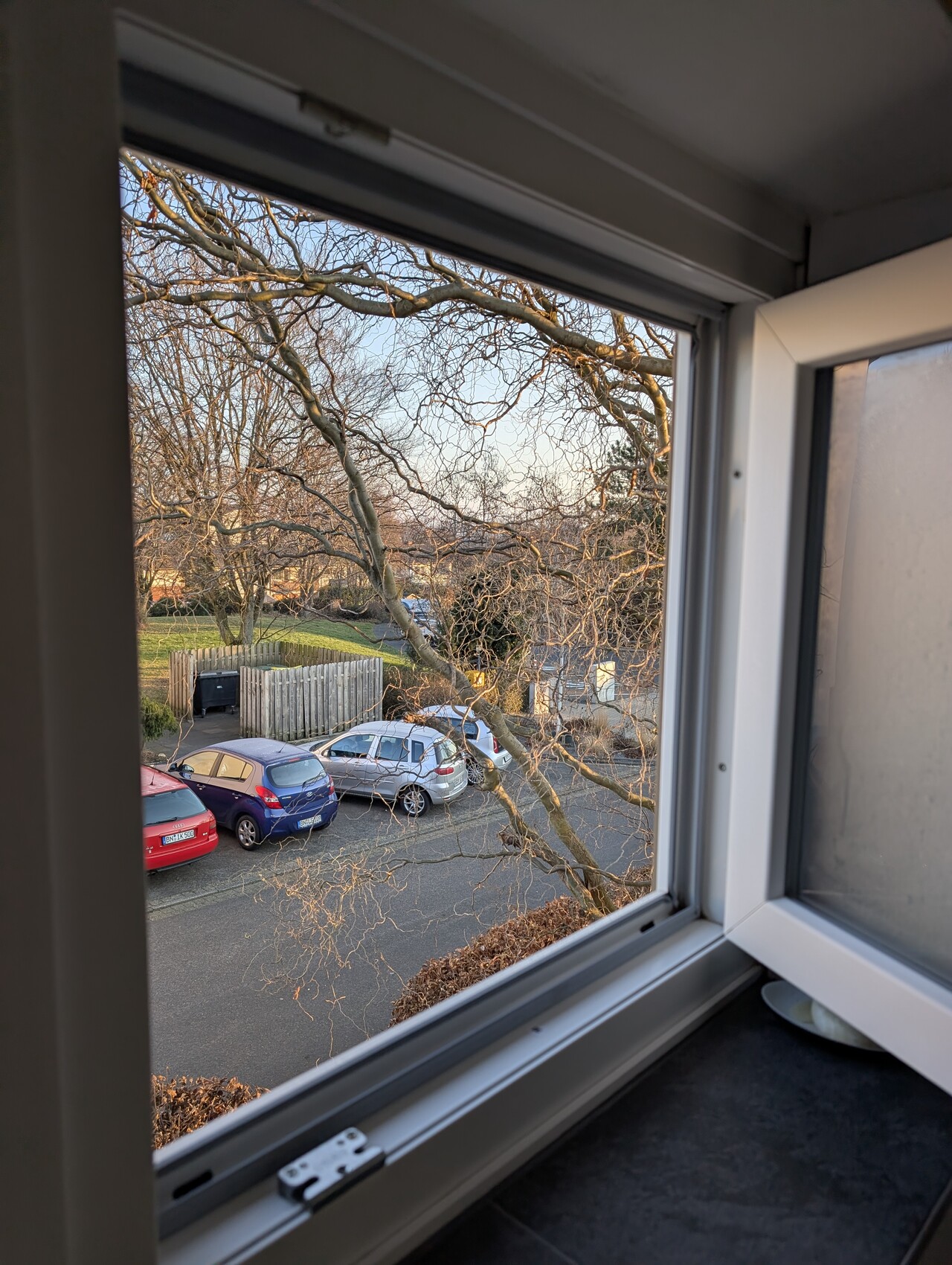 Offenes Fenster mit Blick nach draußen auf parkende Autos, Baumzweige und Straßenszene.
