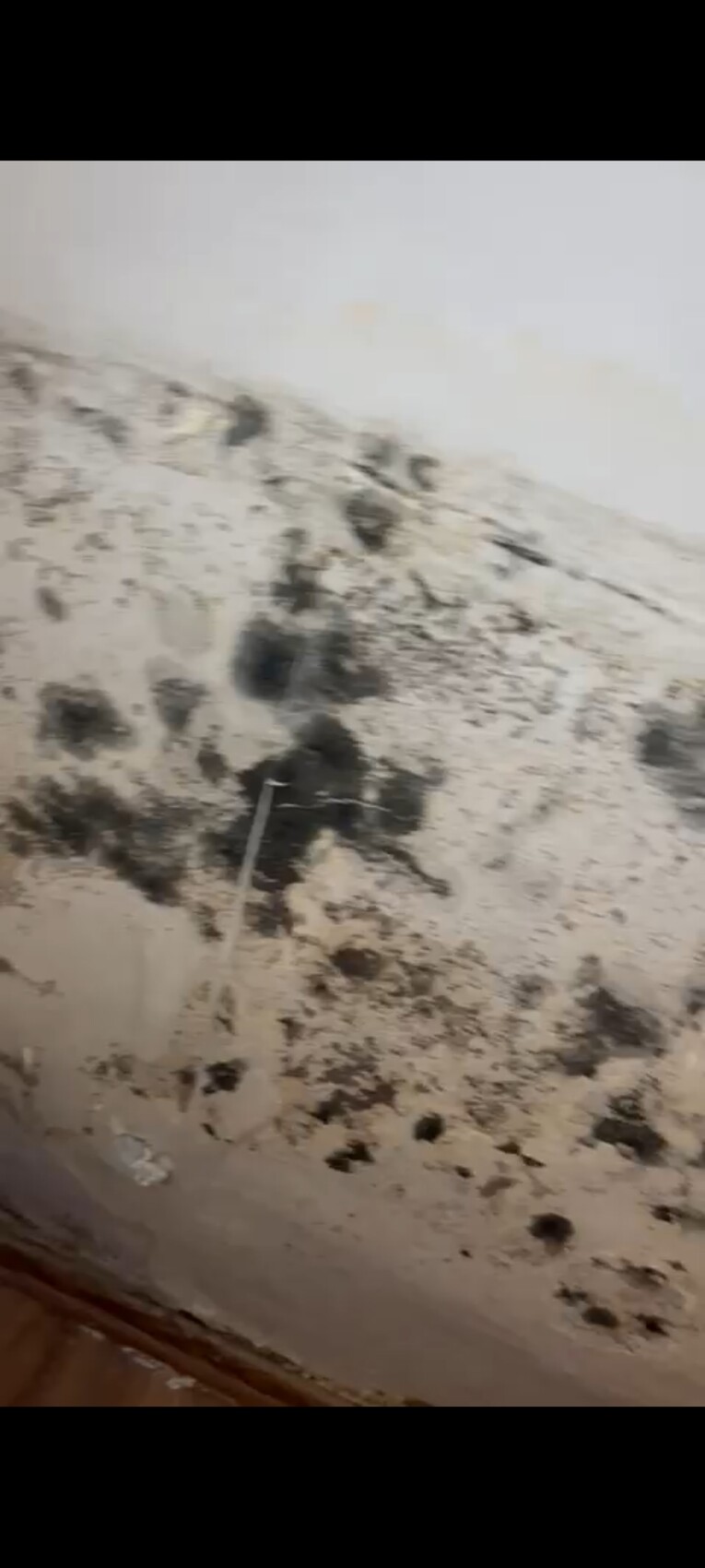 Damp wall with mold growth and plaster peeling indoors.
