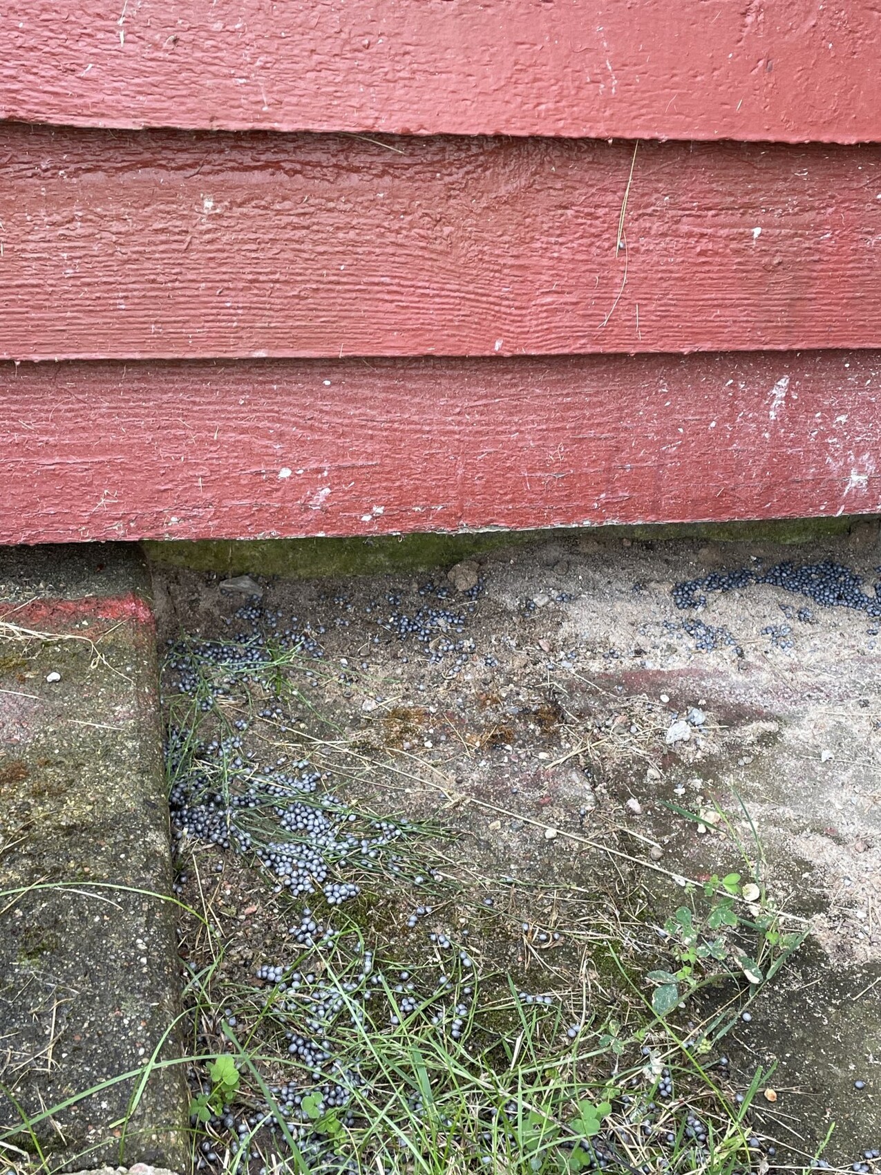 Lower section of a red wooden facade with ground, grass, and gravel in the garden.