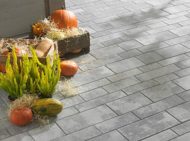 Wooden crate with pumpkins, decorative gourds, and straw on paved surface.