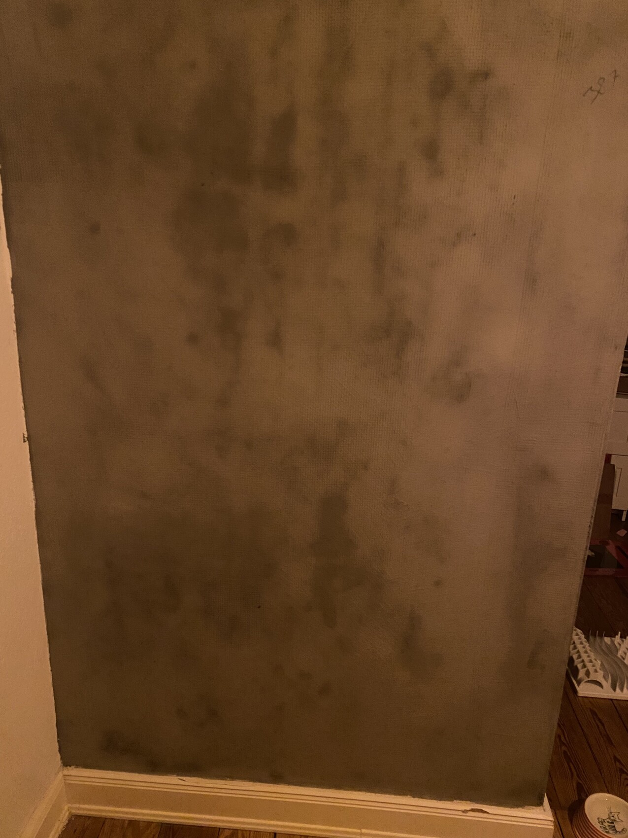 Interior wall with dark damp spots and water damage at the lower area