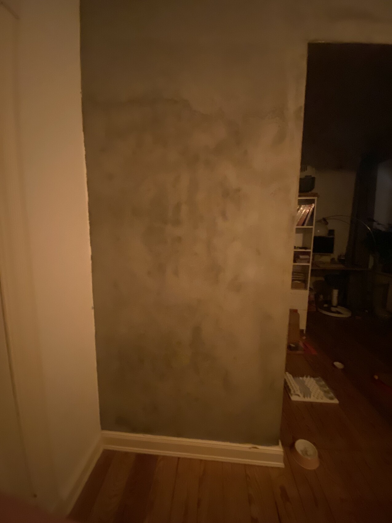 Dark interior with rough concrete wall and moisture stains, wooden floor in living area