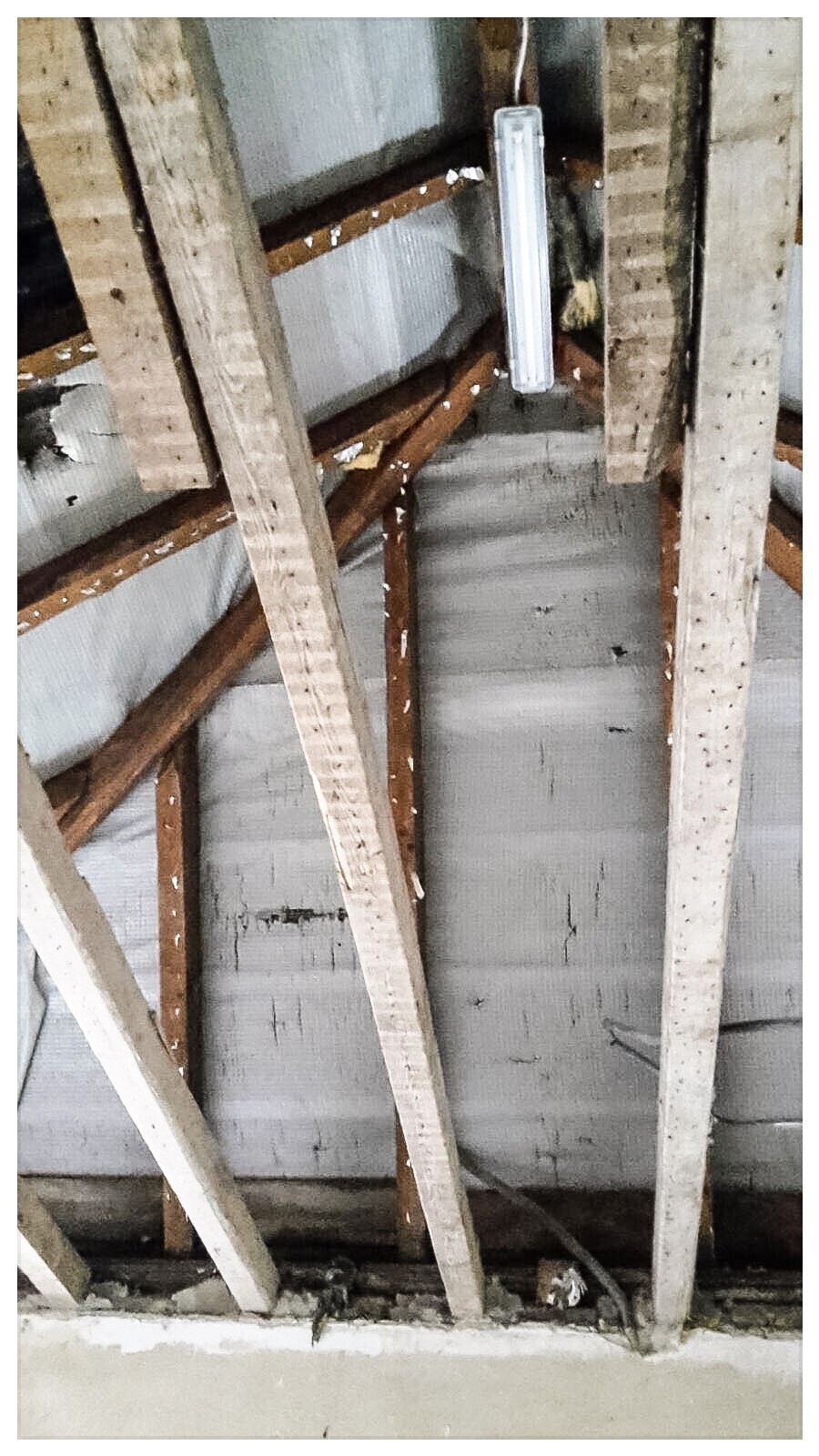 Rohbau-Dachgeschoss mit Holzbalken, Tragwerk und Leuchtstofflampe sichtbar