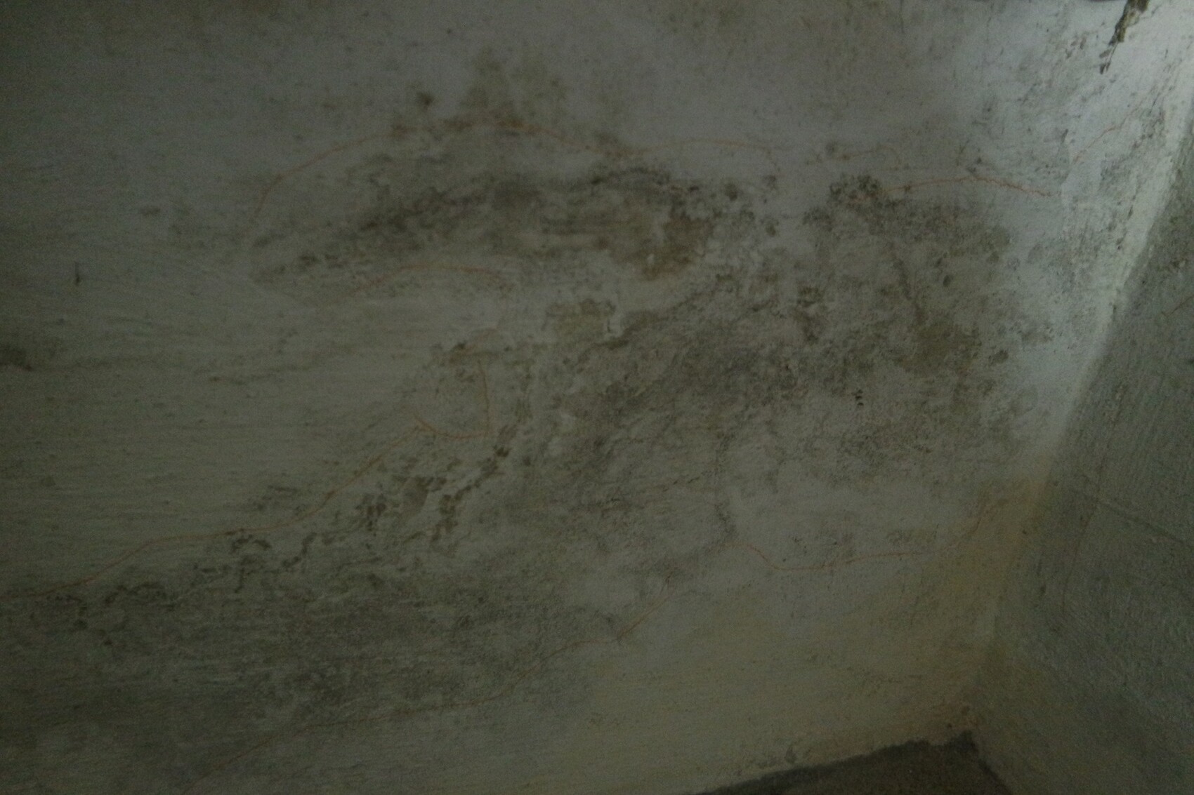Dark damp basement wall with discoloration and mold traces