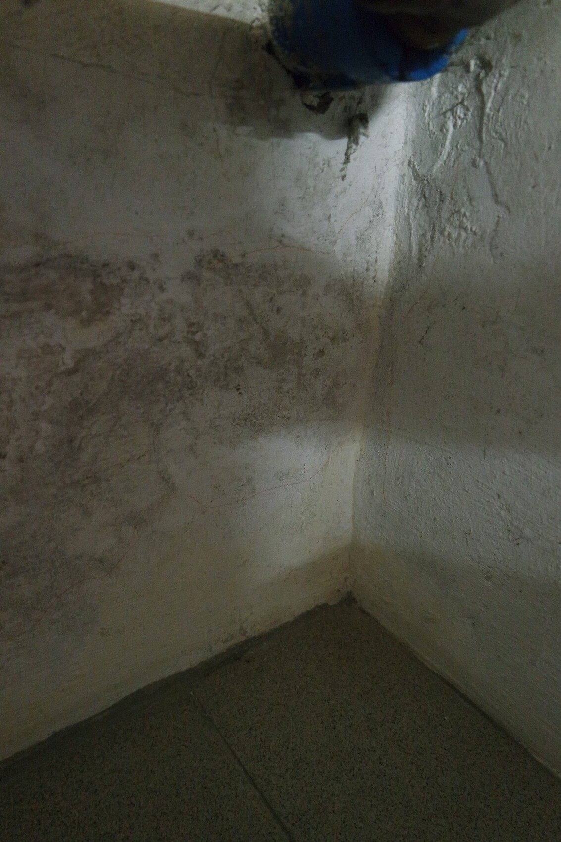 Basement corner with damp walls, rough plaster, and damp floor.