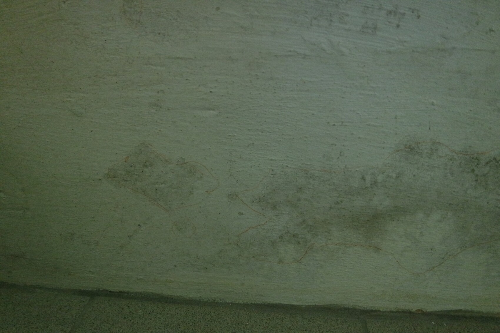Damp basement wall with discoloration and dark streaks near the floor.