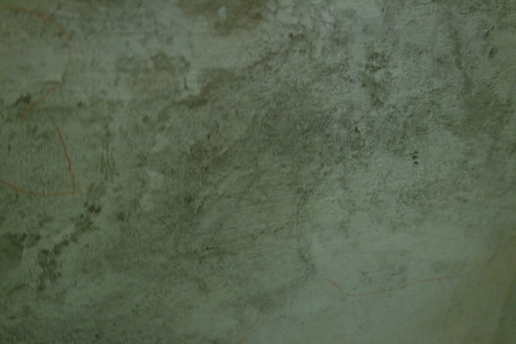 Damp green basement wall with moss spots and rough surface