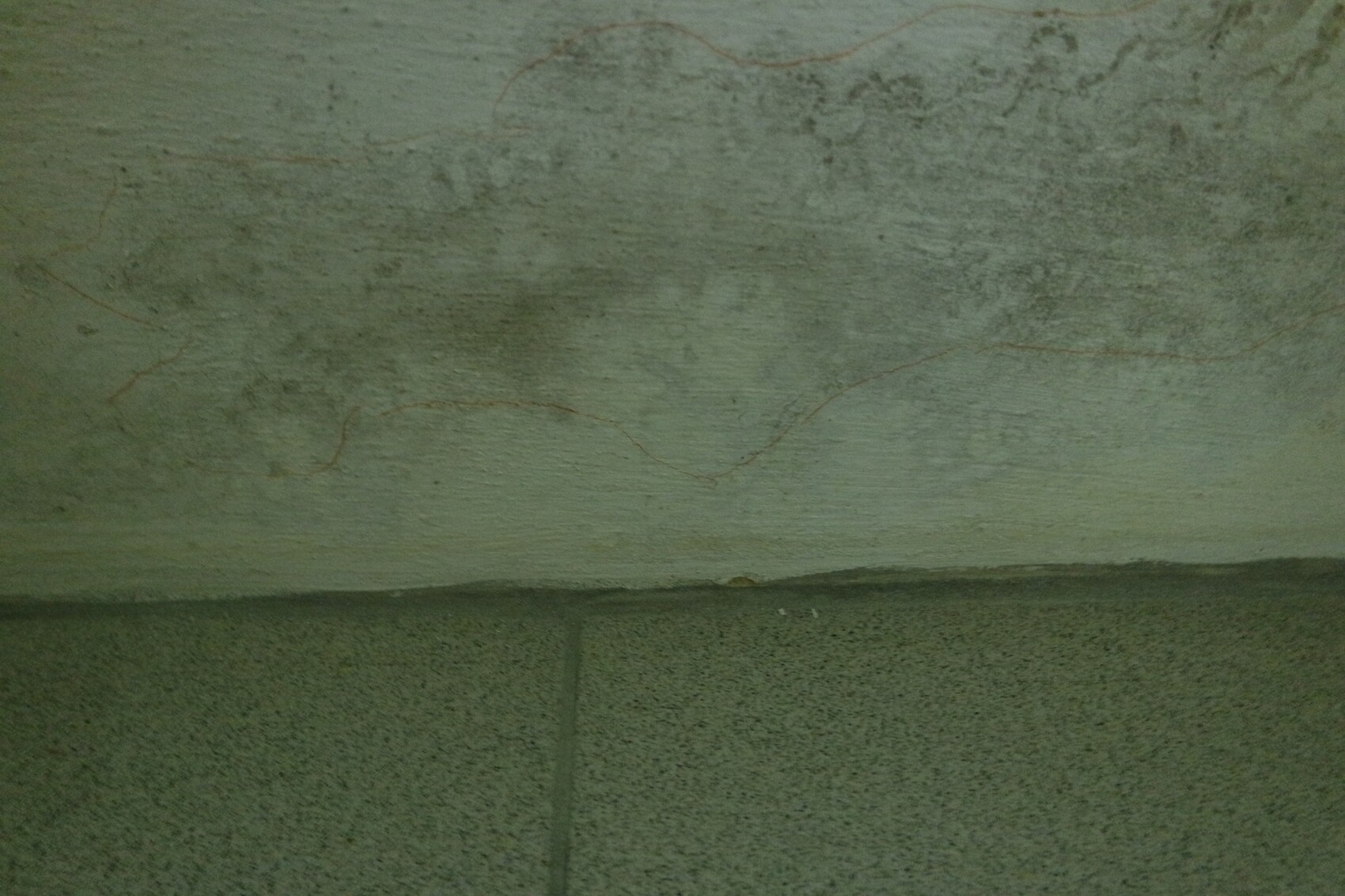 Green damp basement wall with cracks and coarse masonry