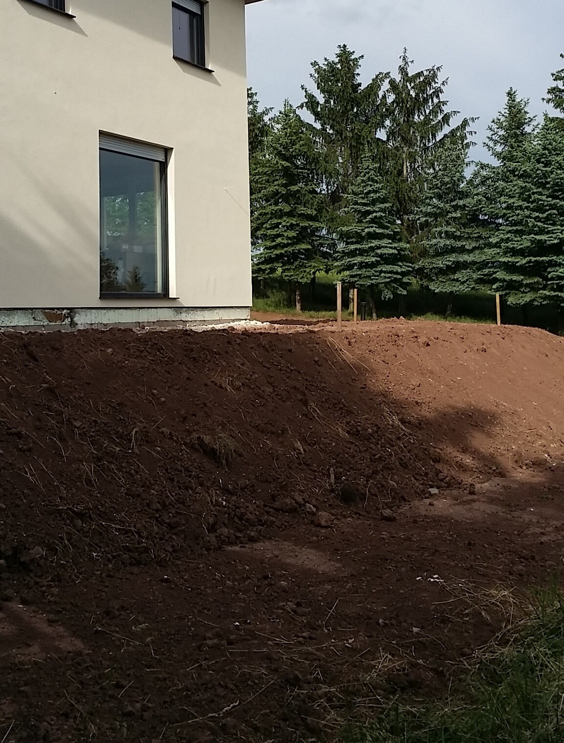 Exterior view of a house with a window; excavation around the foundation, background with conifer trees.